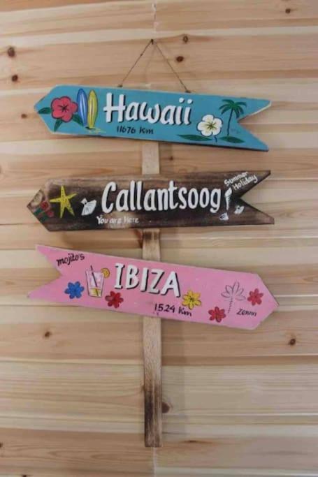 Knus Vakantiehuis 100M Van Het Strand Callantsoog Dış mekan fotoğraf